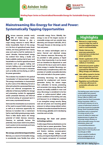 Paper 5 – Mainstreaming Bio-Energy for Heat and Power: Systematically Tapping Opportunities