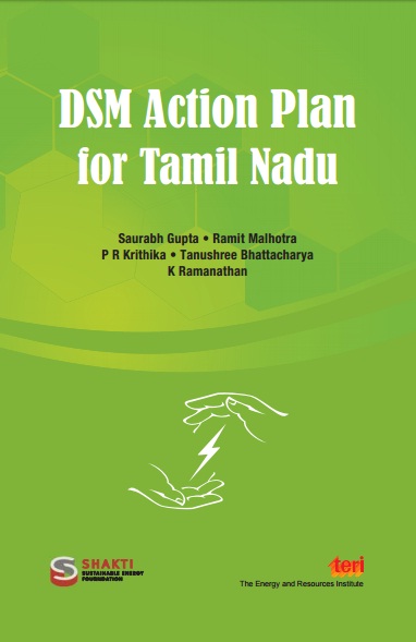 DSM Action Plan for Tamil Nadu