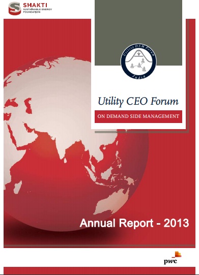 Utility CEO Forum: Annual report 2013