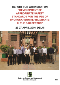 Workshop Report on Safety Standards in RAC Sector