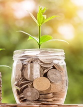 Shikhar MFI – Strategy to enable Green Micro-finance