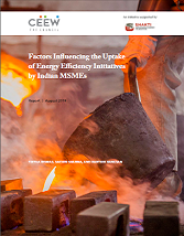 Factors Influencing the Uptake of Energy Efficiency Initiatives by Indian MSMEs