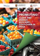 Promoting Clean and Energy Efficient Cold Chains in India (Full Report)