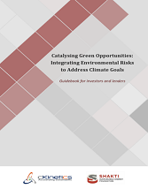 Catalysing Green Opportunities: Integrating Environmental Risks to Address Climate Goals