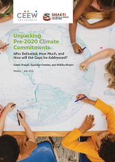 Unpacking Pre-2020 Climate Commitments